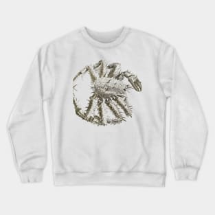 Crab Near Me Crewneck Sweatshirt